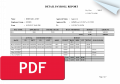 detail_payroll_report