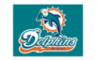 dolphins-colour